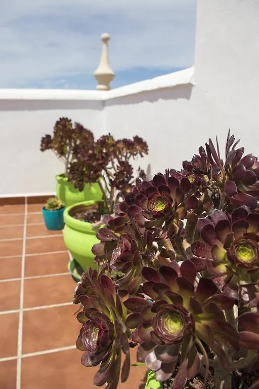 Malaga Dreams City Center Apartment